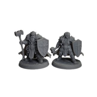 Dwarf Paladins