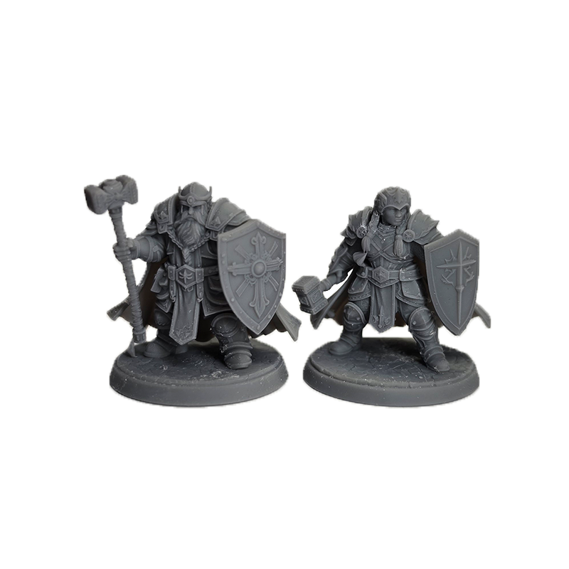 Dwarf Paladins